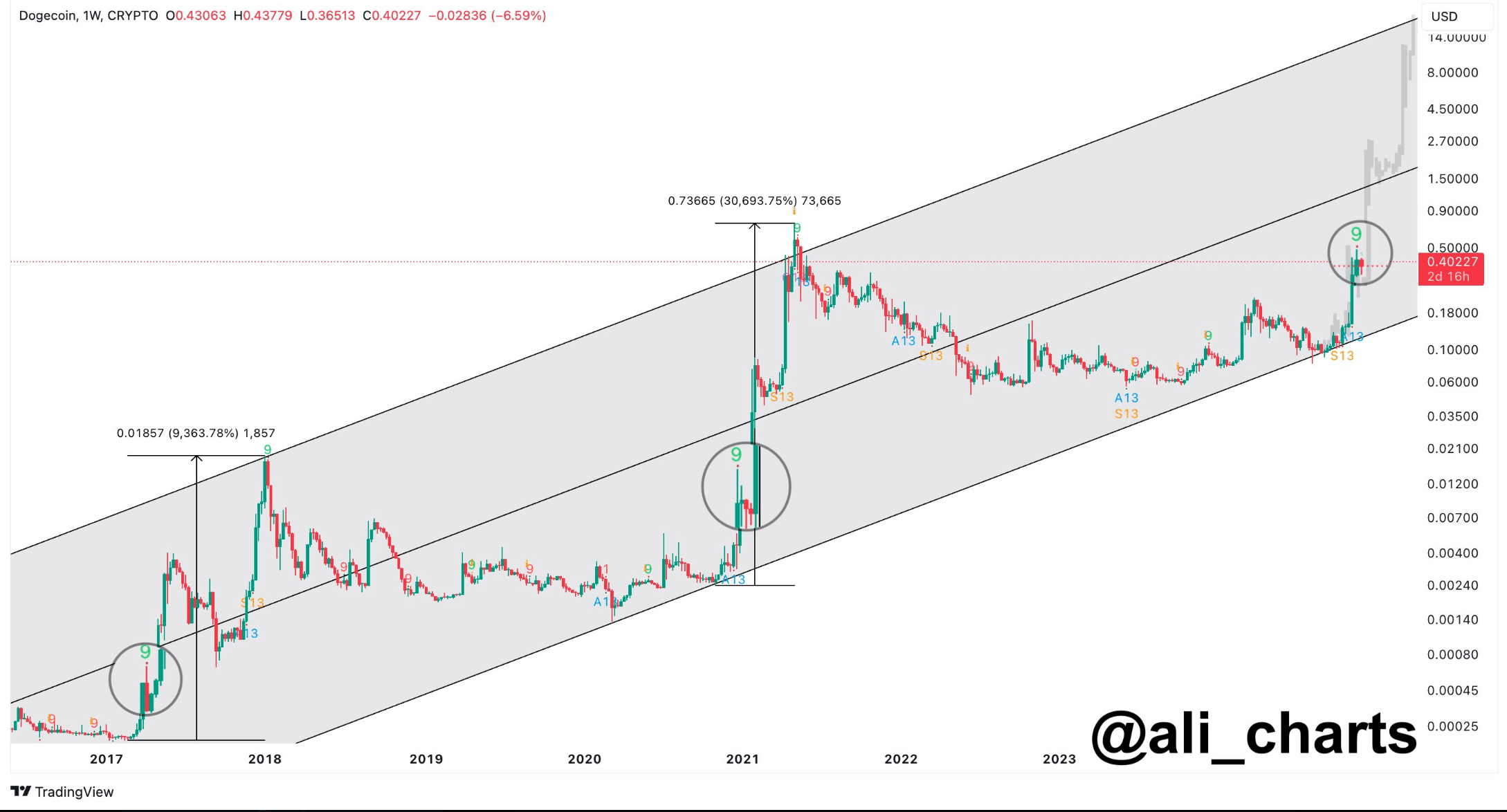 Doge's past trend